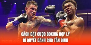 Cách Đặt Cược Boxing Hợp Lý | Bí Quyết Dành Cho Tân Binh