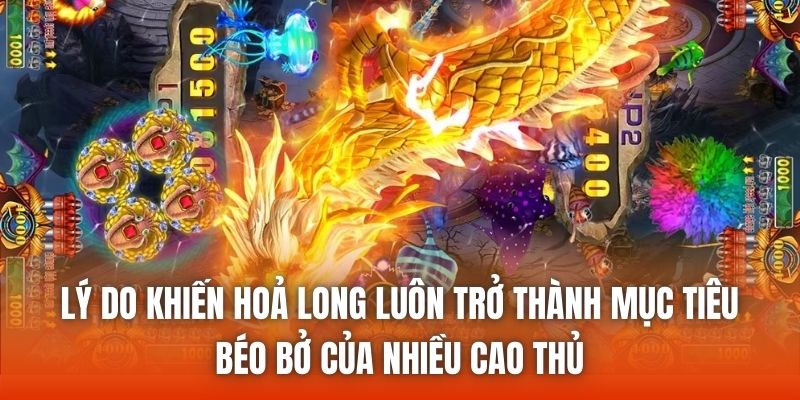 Lý do khiến hoả long luôn trở thành mục tiêu béo bở của nhiều cao thủ