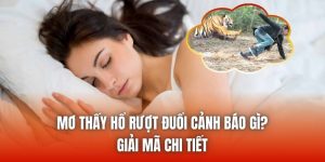 Mơ Thấy Hổ Rượt Đuổi Cảnh Báo Gì? Giải Mã Chi Tiết